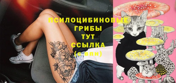 бутират Белокуриха