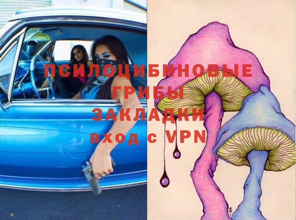 бутират Белокуриха
