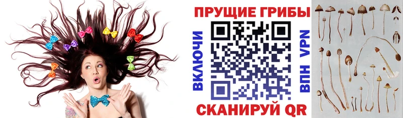 Галлюциногенные грибы мухоморы  kraken tor  Ковылкино 